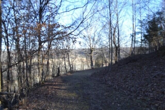 Picture 17