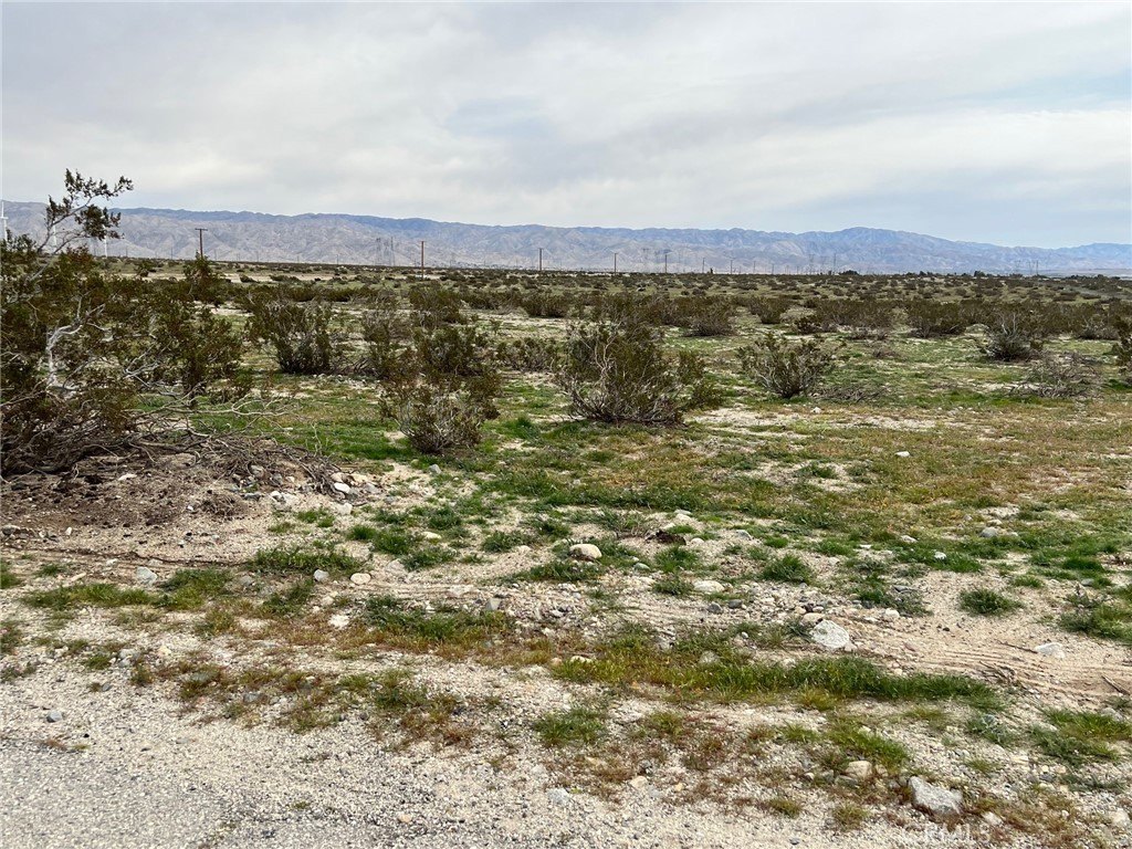 Picture 6