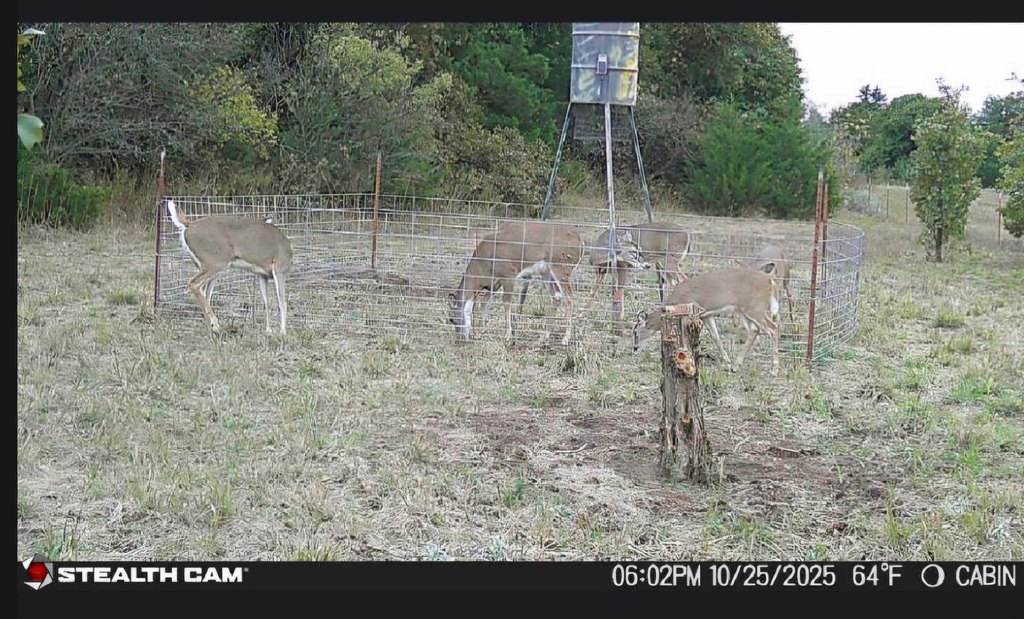 Picture 38