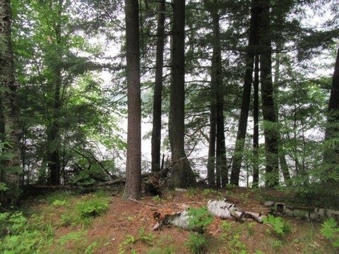 LAND - Lac du Flambeau, WI