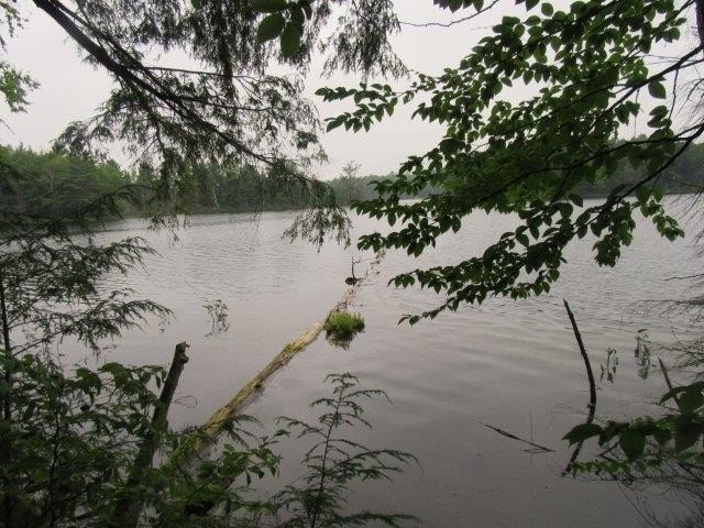 Picture 7