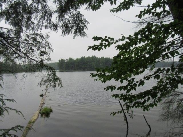Picture 8