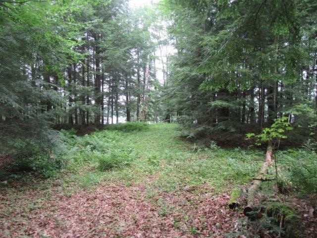 Picture 18