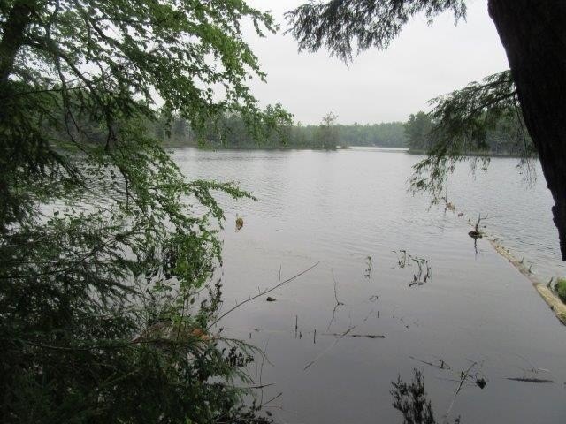 Picture 4
