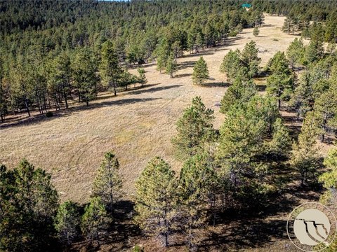 80 Acres Near Roundup, MT