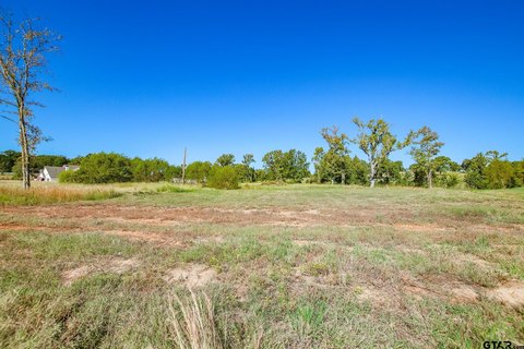 Land, Flint, TX