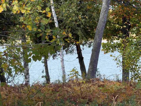 Lots/Land, Charlevoix, MI