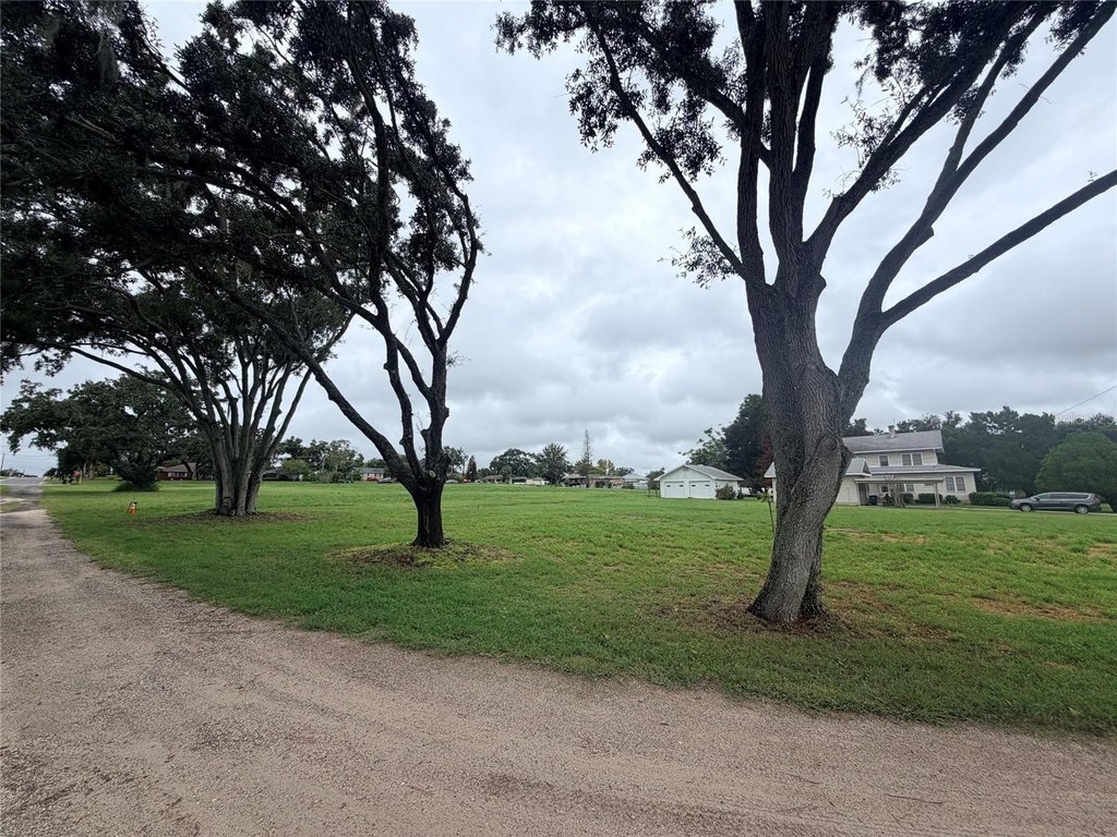 Picture 2