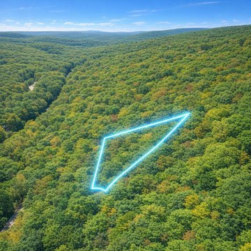 Wooded Recreation Land Parcel