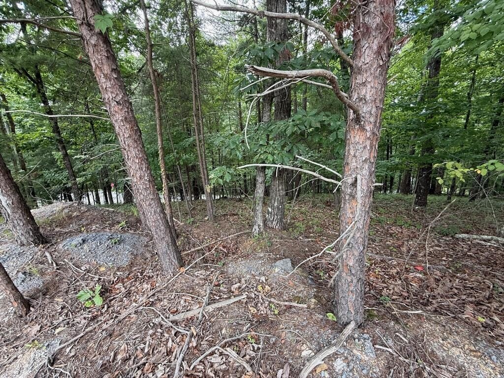 Picture 9