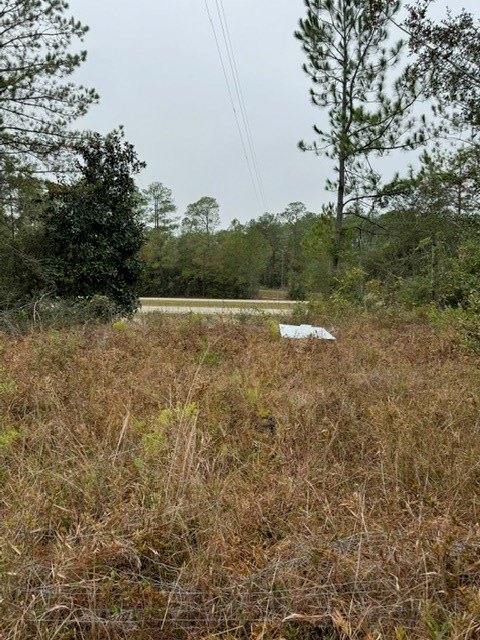 Picture 2