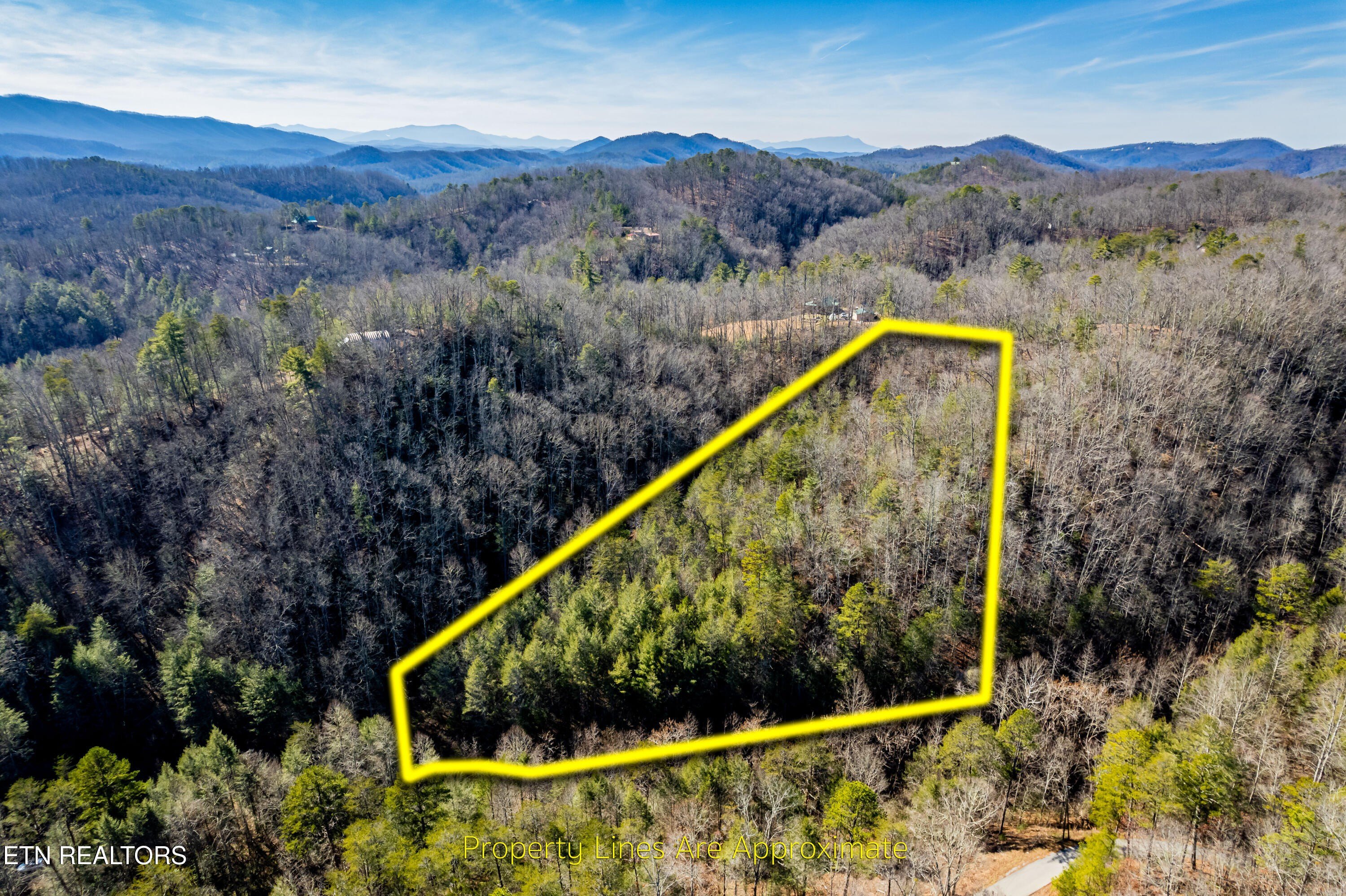Cosby, TN Wooded Land