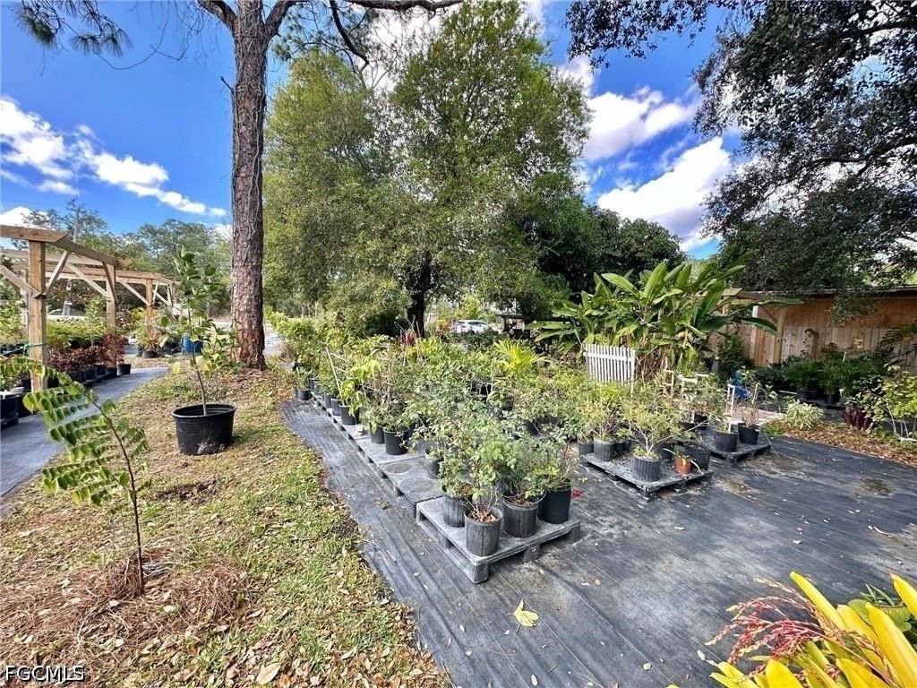 Picture 22