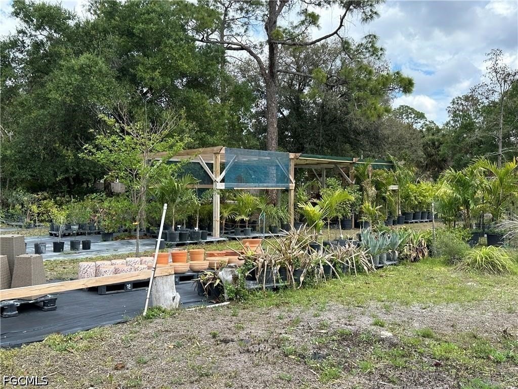 Picture 24