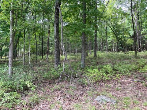 Lots and Land, Stillwater Twp., NJ