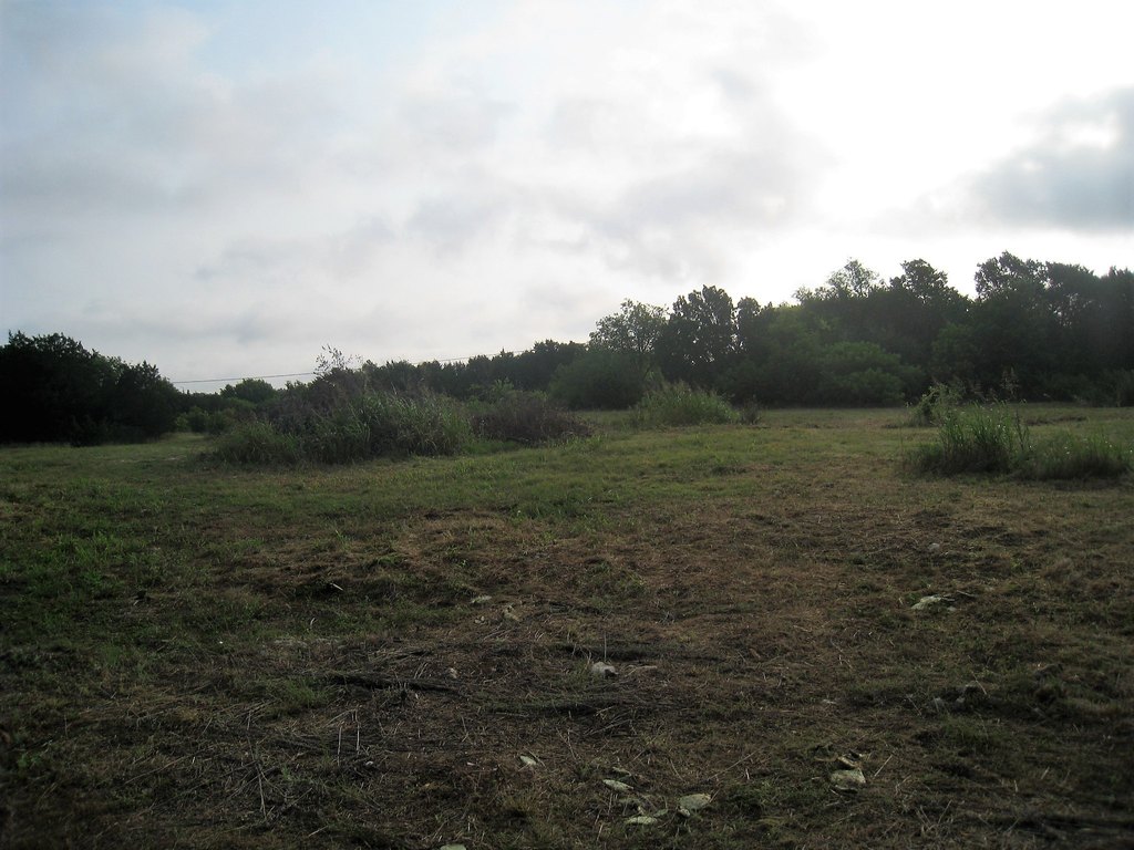 Picture 3