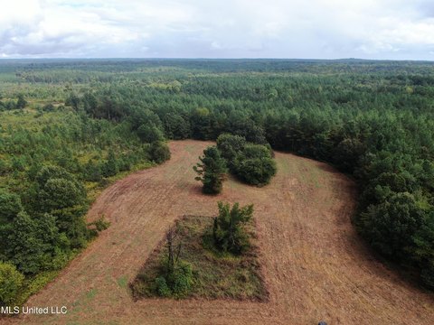 Holly Springs Recreational Hunting Land