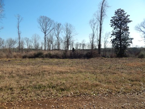 Residential Lot Near Toledo Bend