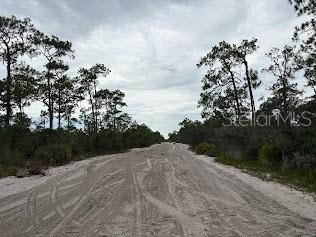 One-Acre Lot in Sebring, FL