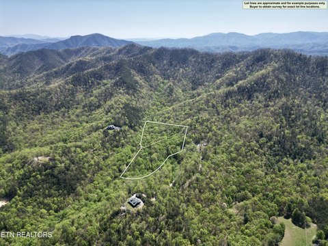 Cherokee Forest Adjoining Mountain Land