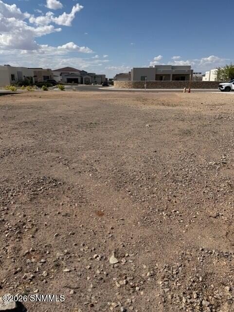 Picture 8