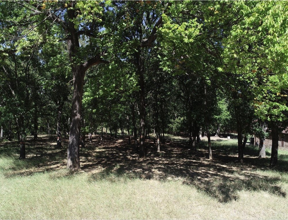 Picture 8