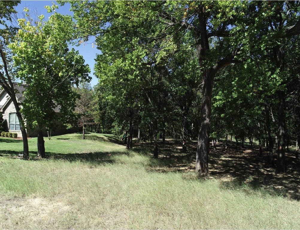 Picture 6