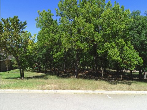 Heavily Treed Land with Creek