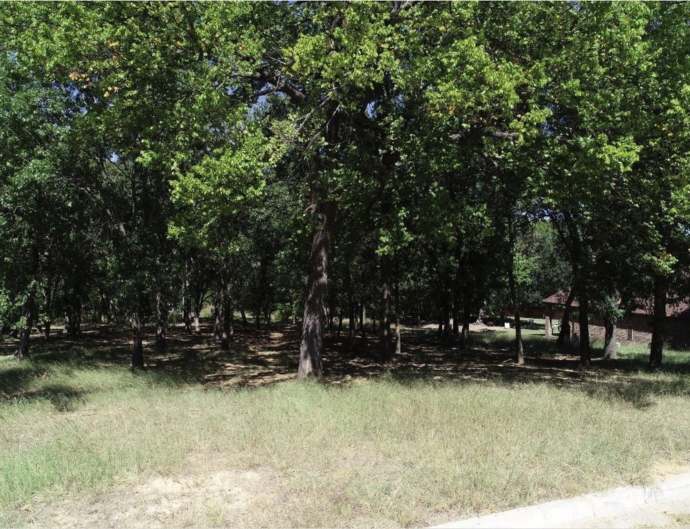 Picture 5