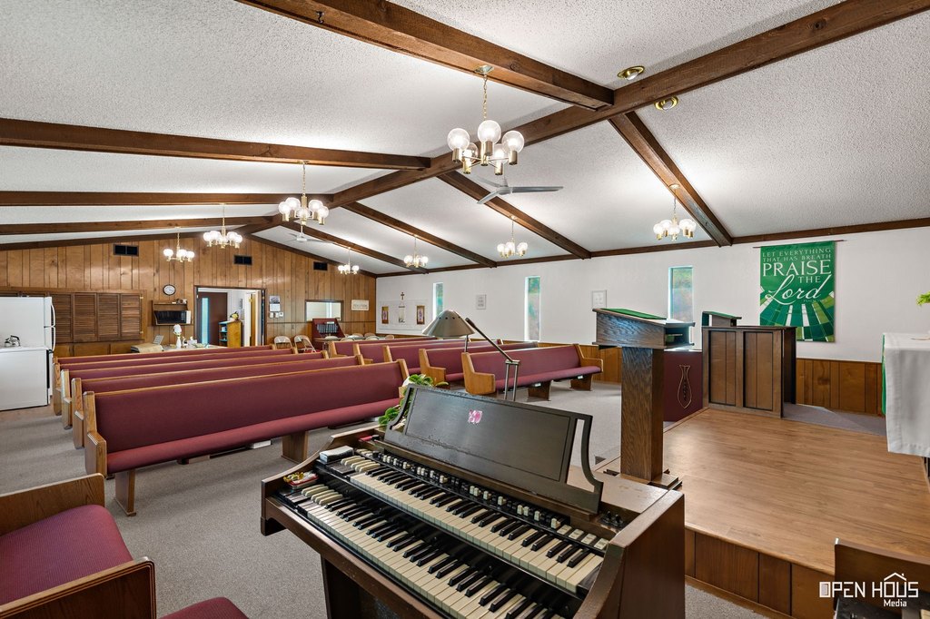 Picture 14