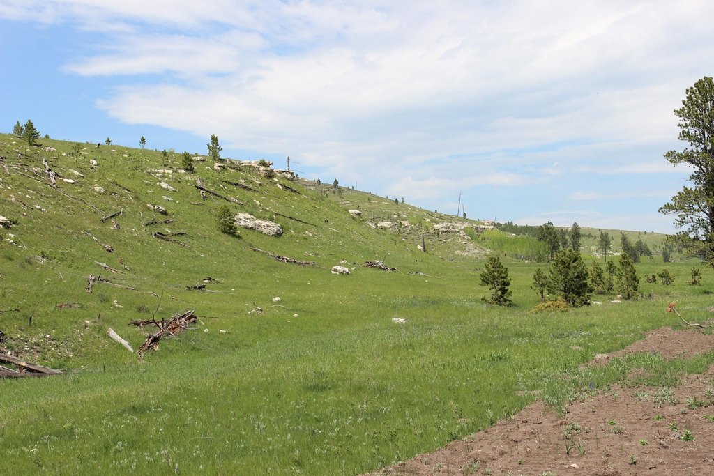 Picture 15