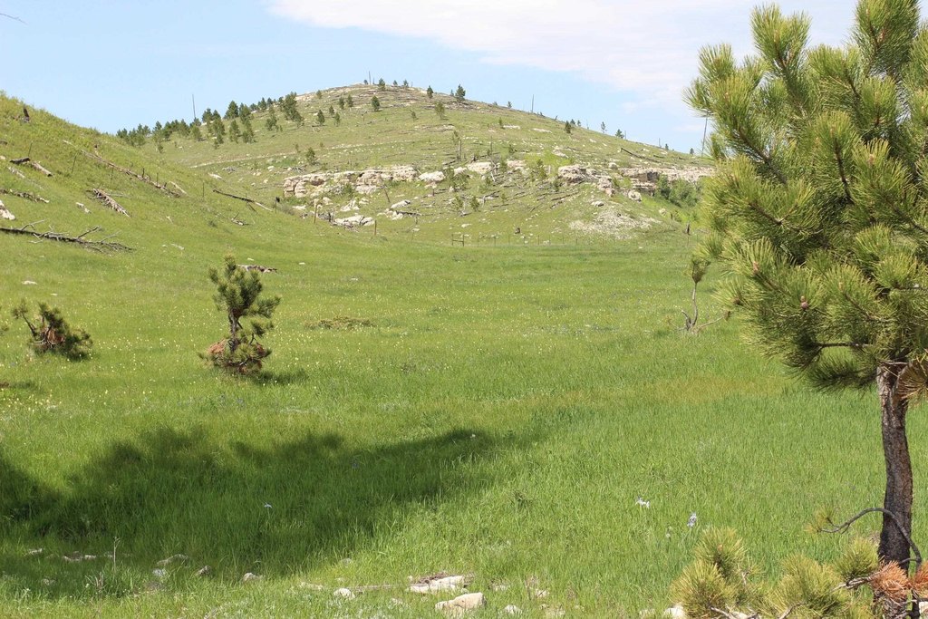 Picture 16
