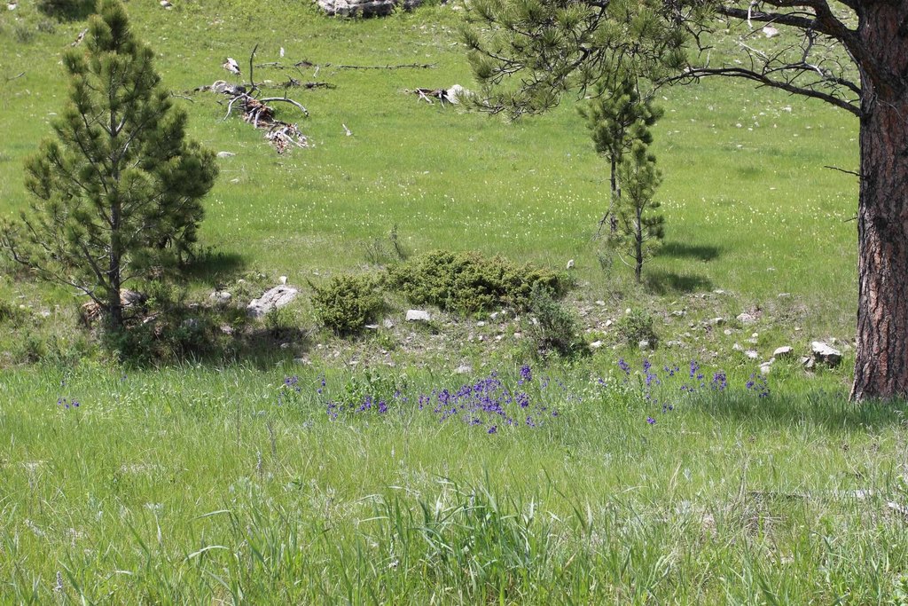 Picture 3
