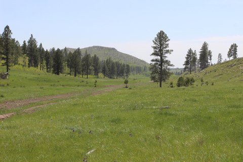 Secluded Farmland with Seasonal Creek