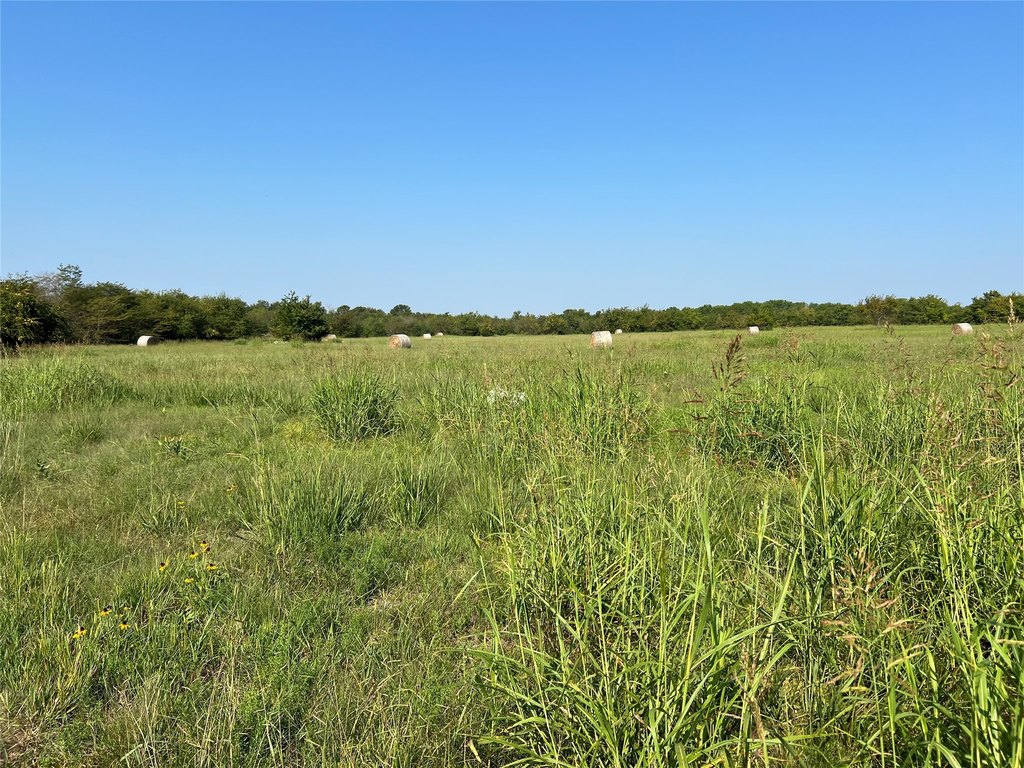 Picture 23