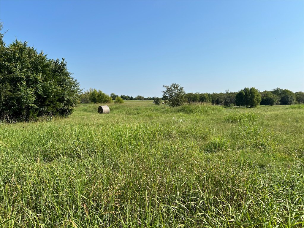 Picture 14