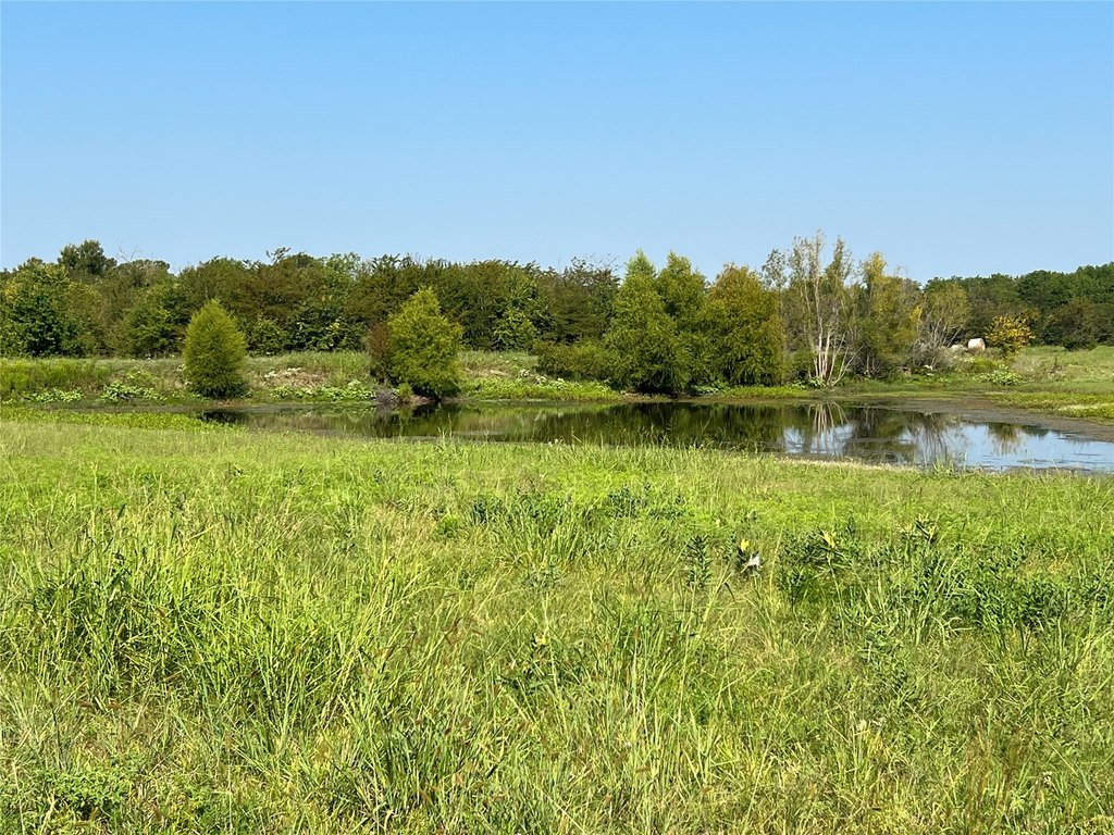 Picture 20