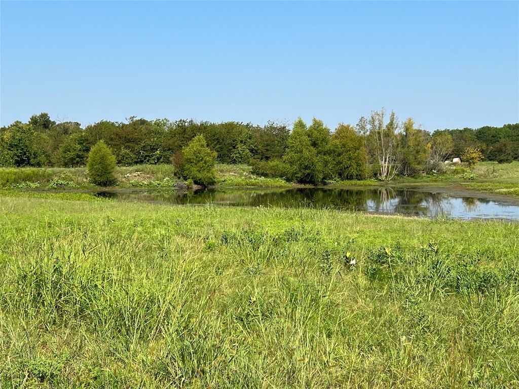 Picture 19