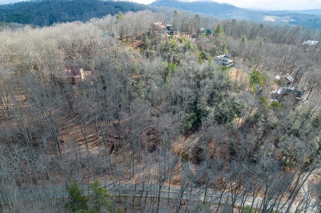 Homesite in Coon Gap View
