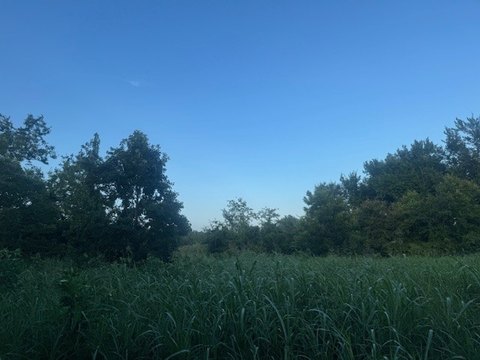 No-Restrictions Acreage on Paved FM Road
