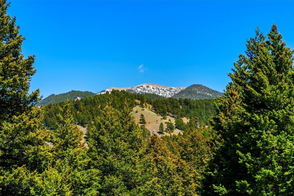 Picture 41