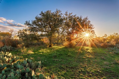High-Fenced Hill Country Ranch Land