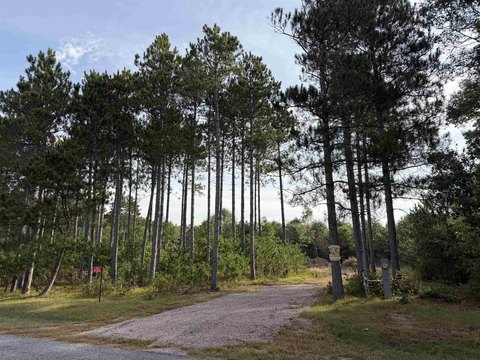 Lots & Acreage, Necedah, WI