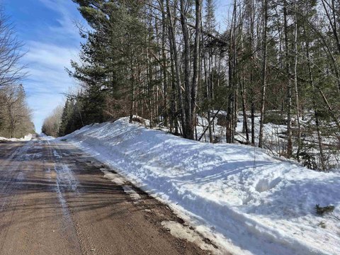 20 Acres Hunting Land