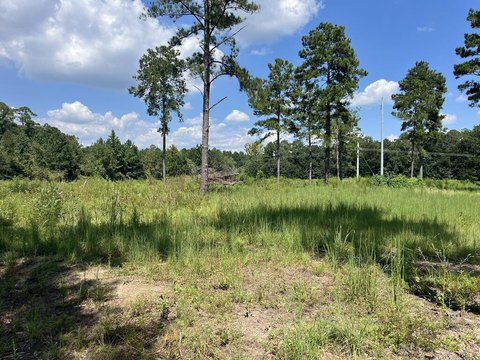 Land, Tifton, GA
