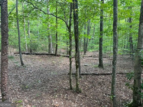 Land in Asheland Cove