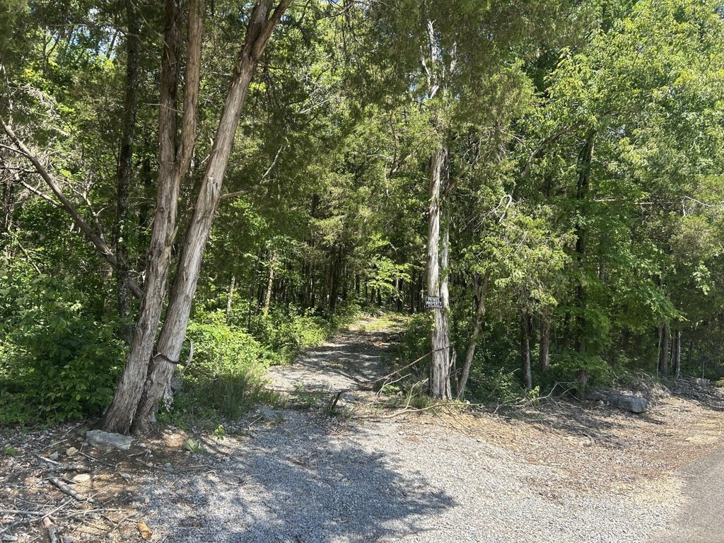 Picture 31