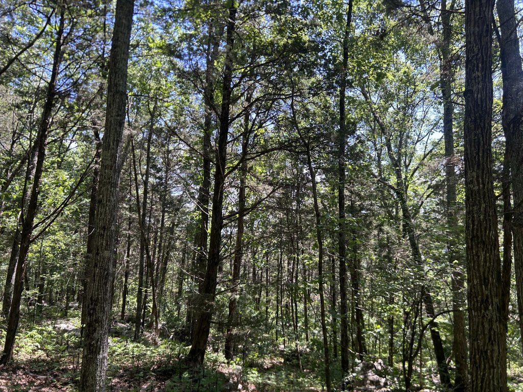 Picture 22