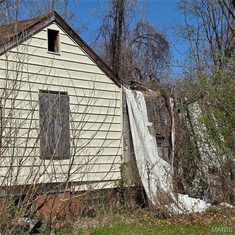 Picture 5