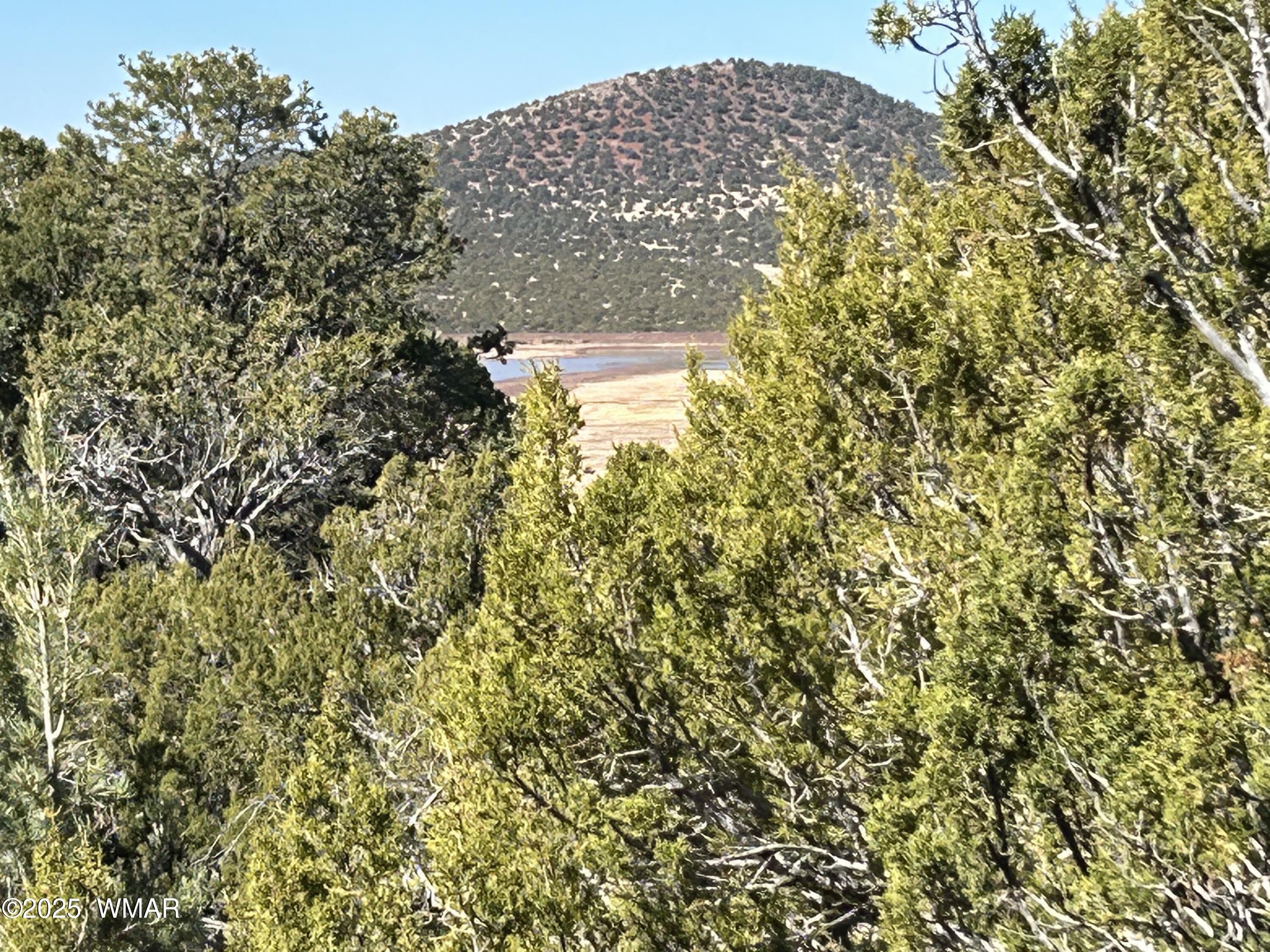 Heavily Treed Land with View
